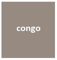 congo1_kolor półkotapczanu-NewElegance-drmaterac.jpg